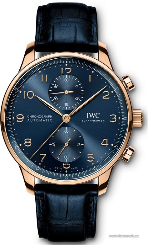 movimento orologio iwc hermet|IW371614.